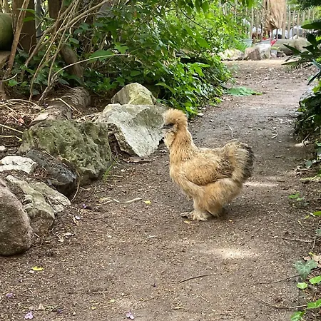 Apartment Stilvoll, Nähe Messe Und Zentrum *