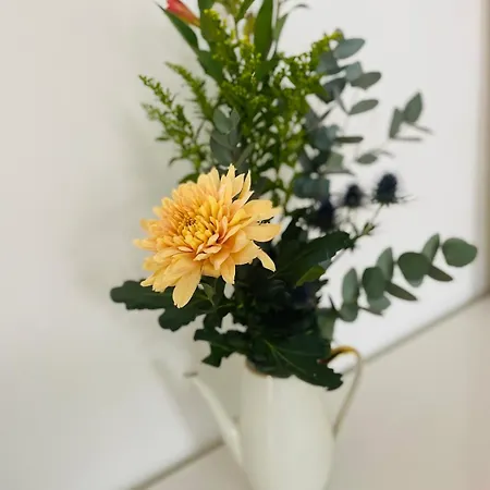 Stilvoll, Naehe Messe Und Zentrum アパート